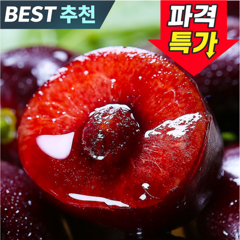 [흰여울청과] 프리미엄 고당도 생 체리