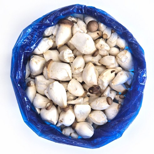클릭마켓 국내산 새송이 못난이 미니 새송이버섯, 1개, 500g