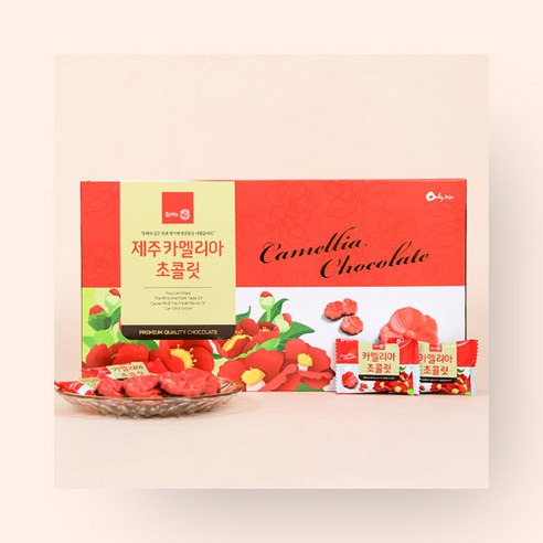 제주 카멜리아초콜릿