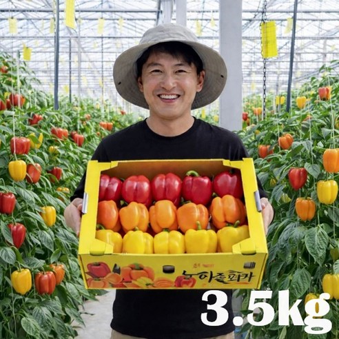 [산지직송] 신선하고 아삭한 맛! 고당도 프리미엄 파프리카, 1박스, 파프리카(색상랜덤) 3.5kg