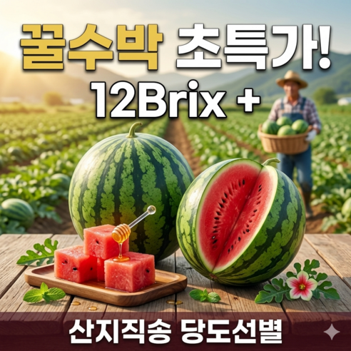 [당도선별] 프리미엄 고당도 하우스 꿀 수박