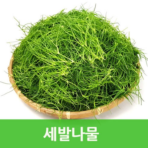 싱싱한 세발나물4kg 갯나물 웰빙푸드