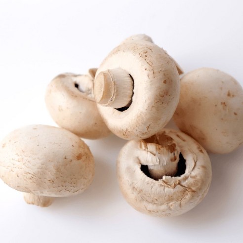 못생겨도 맛있는 국내산 양송이버섯 못난이 파지 가정용 업소용, 1박스, 1kg