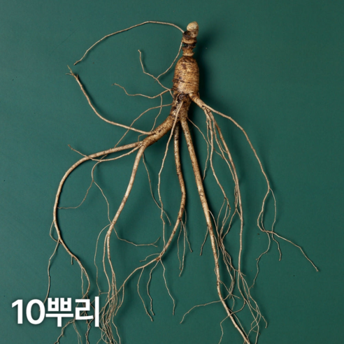 삼삼삼 10년근 산양산삼 장뇌삼 설 추석 명절 부모님 선물세트