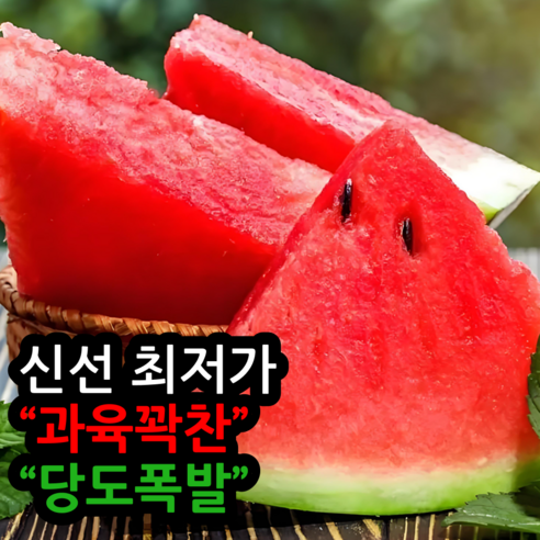 [신선최우선]과육꽉찬 당도폭발 고당도 가정용 수박