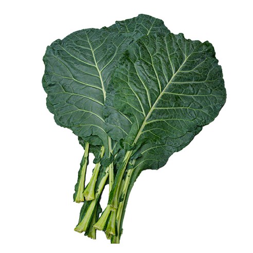 친환경 유기농 케일 1kg (녹즙용 주스용 스무디용 샐러드용 녹즙재료), 1kg, 1개