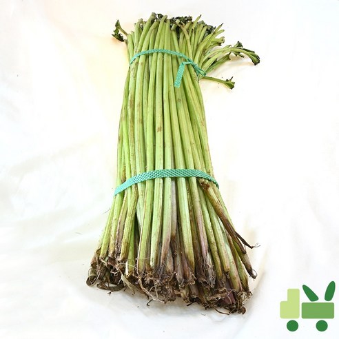 사라상회 머위대 (상) 8kg