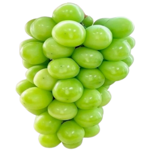 ( 당도 선별 ) 경북 김천 프리미엄 고당도 선물용 특품 샤인머스켓, 1개, 2kg ( 2 - 3수 )