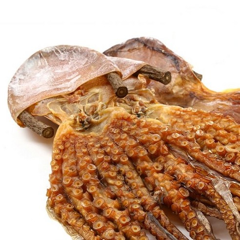 장수왕 피문어 (대 45-50cm) 1마리 /말린 문어 제수용 약문어 건문어