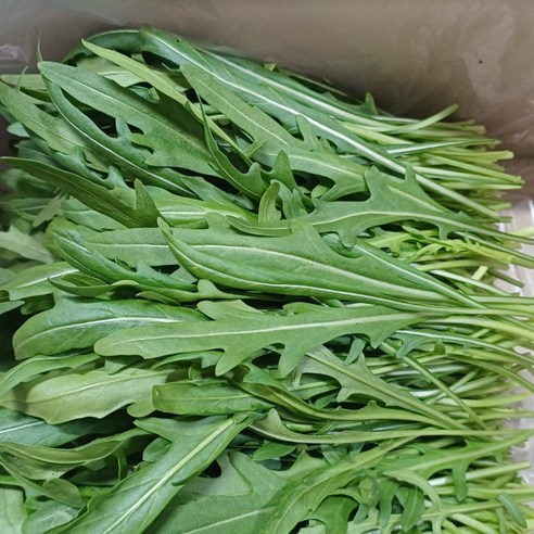 삼시세끼연구소 부드럽고알싸한 와일드 루꼴라 최상품, 1박스, 500g