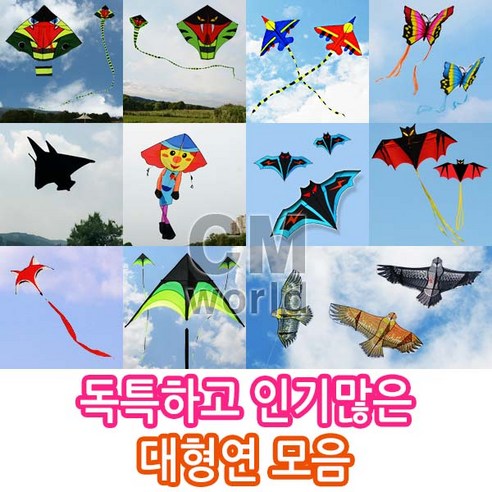 씨엠월드 유니크한 인기만점 대형연 모음 선택(낙하산 천 재질), 04_1.홍 나비연