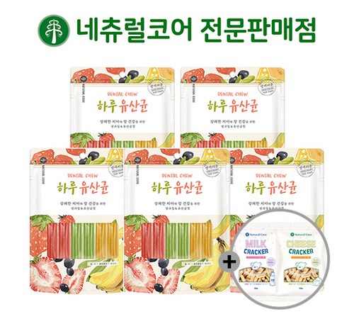 사용 방법