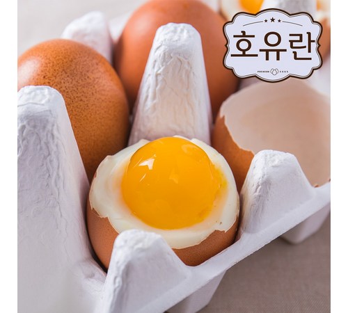 바나듐계란과 건강