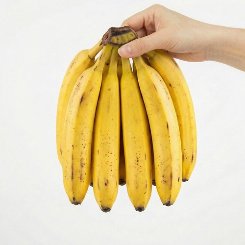 [제니네 제철과일] SG 산지발송 베트남 고산지 바나나, 1개, 송이 12kg 내외