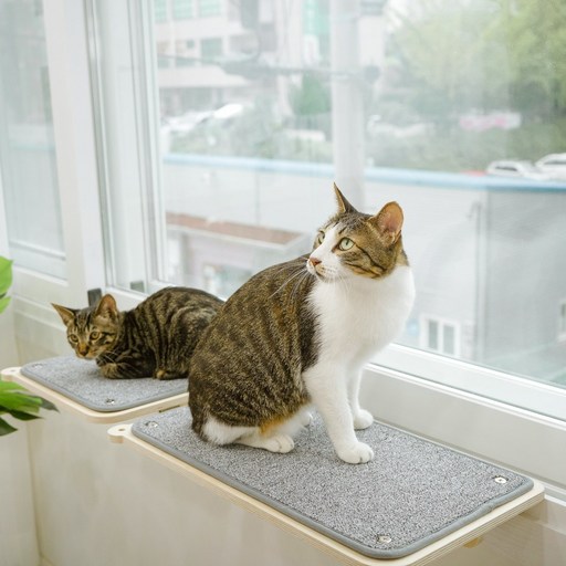 캣돌 고양이 창문 창틀 선반 캣타워
