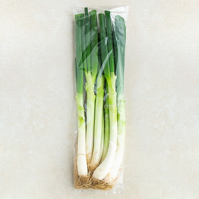 흙대파 1kg 찌개 국거리용 대파 신선채소
