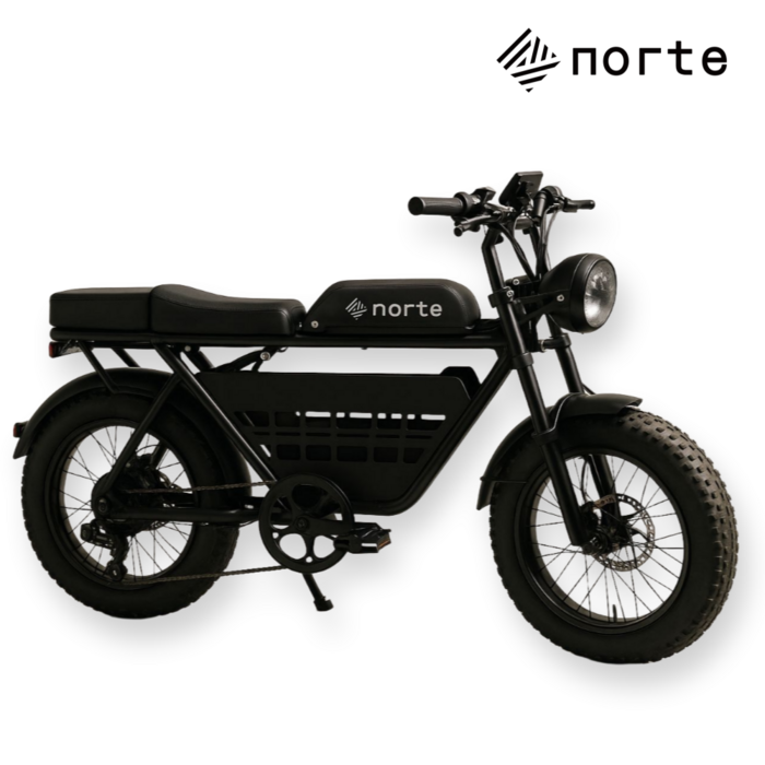 노르테 전기 자전거 자토바이 전동 스쿠터 팻바이크 MTB 배달용 출퇴근용, Y1 럭셔리, 스틸