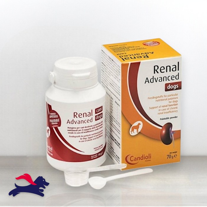 칸디올리 독스 영양제