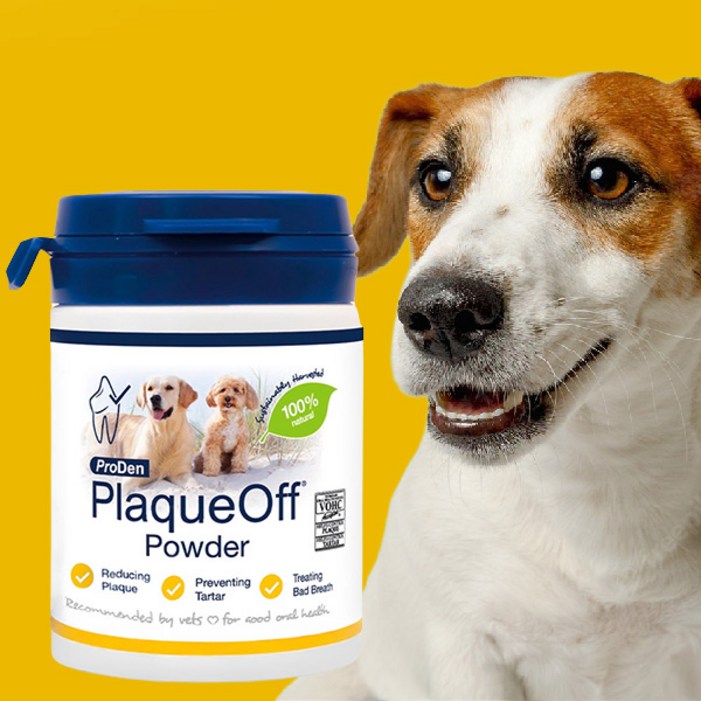 플라그오프 반려동물 파우더 영양제