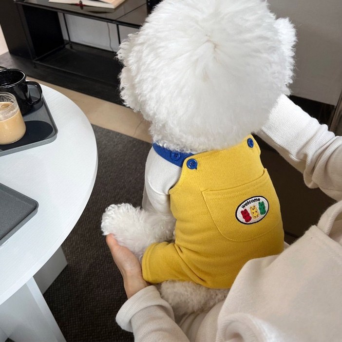 딩동펫 반려동물 미니곰 배색 멜빵바지