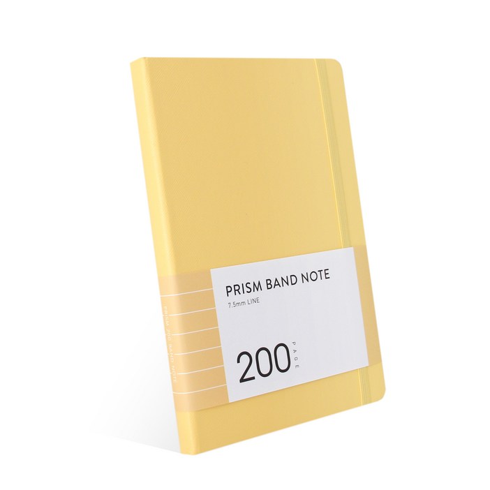 인디고 프리즘 200 밴드노트 라인