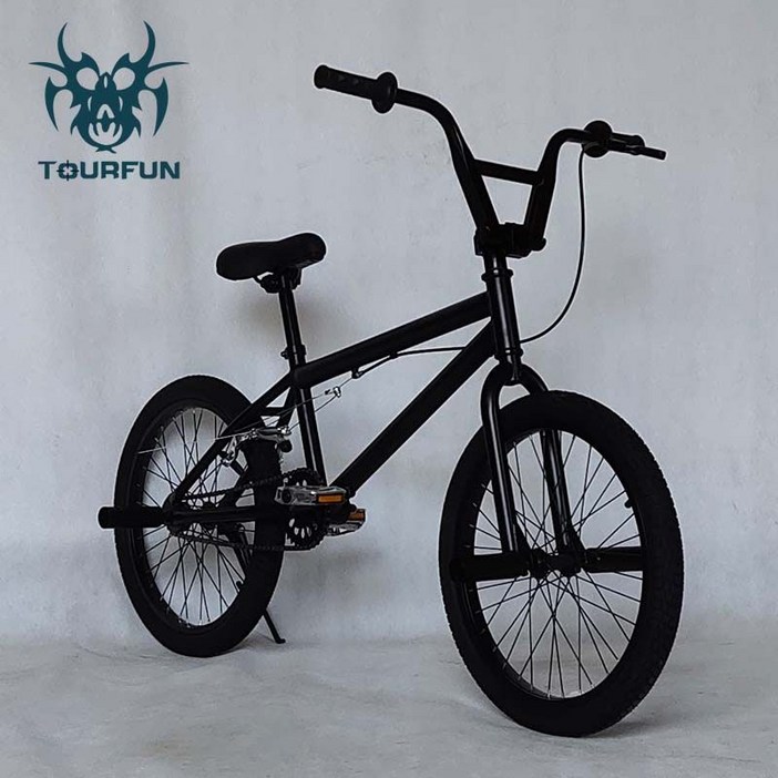 20인치 BMX 자전거 묘기 입문용 비엠엑스 소형 미니 학생