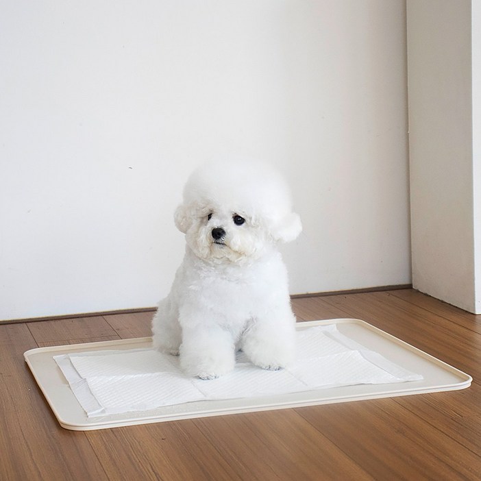 [플리다스] 착붙 실리콘 배변매트 논슬립 배변판 베이지 대형, 베이지, 1개