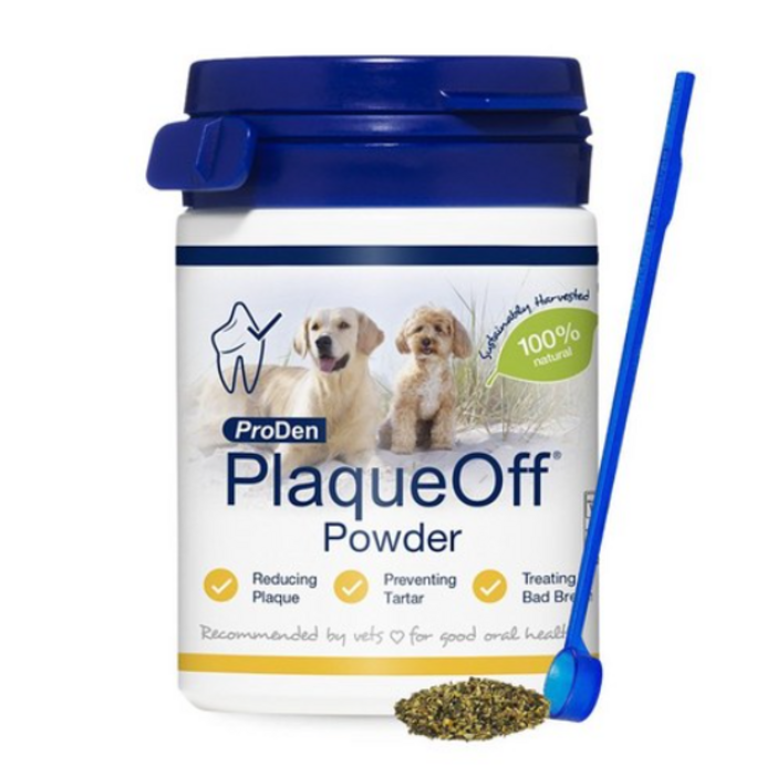 프로덴 플라그오프 영양제 40g