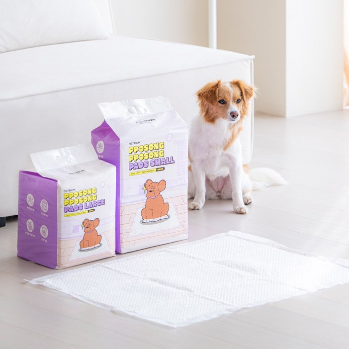펫트리움 뽀송뽀송 강아지 애견 고흡수(40g, 80g) 배변 패드 배변판, 1개, 50개입