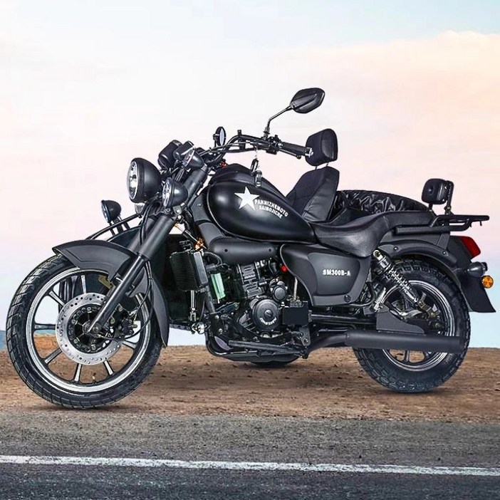 프라임 삼륜오토바이 전동스쿠터 전동차 삼발이