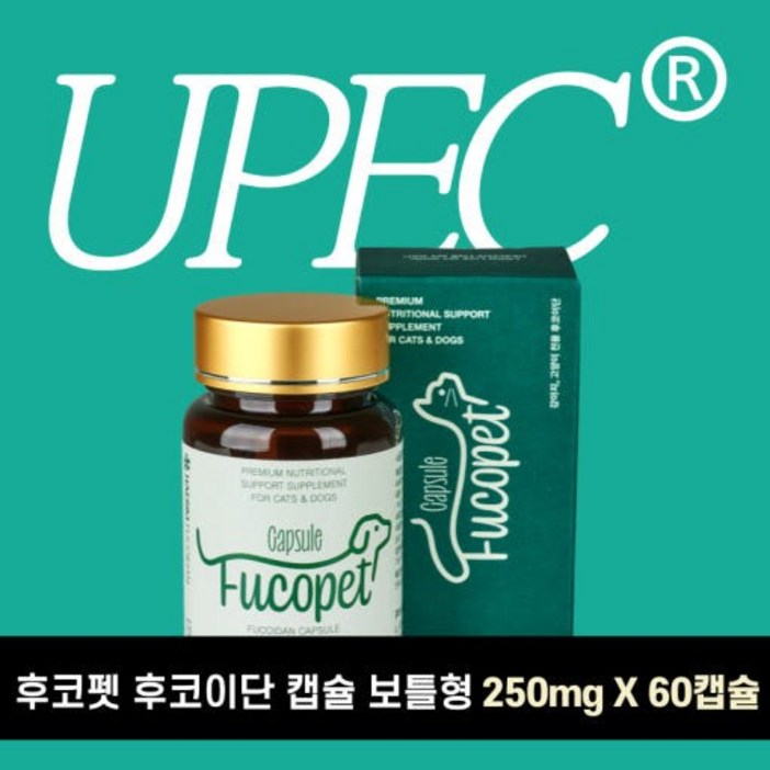 후코펫 후코이단 캡슐 보틀형 60캡슐 100% 후코이단 15000mg
