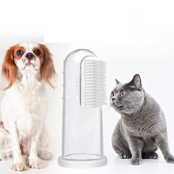 퍼피즈랩 고양이 강아지 실리콘 손가락 투명칫솔 10입 양치 구강청결, 40개, 본품