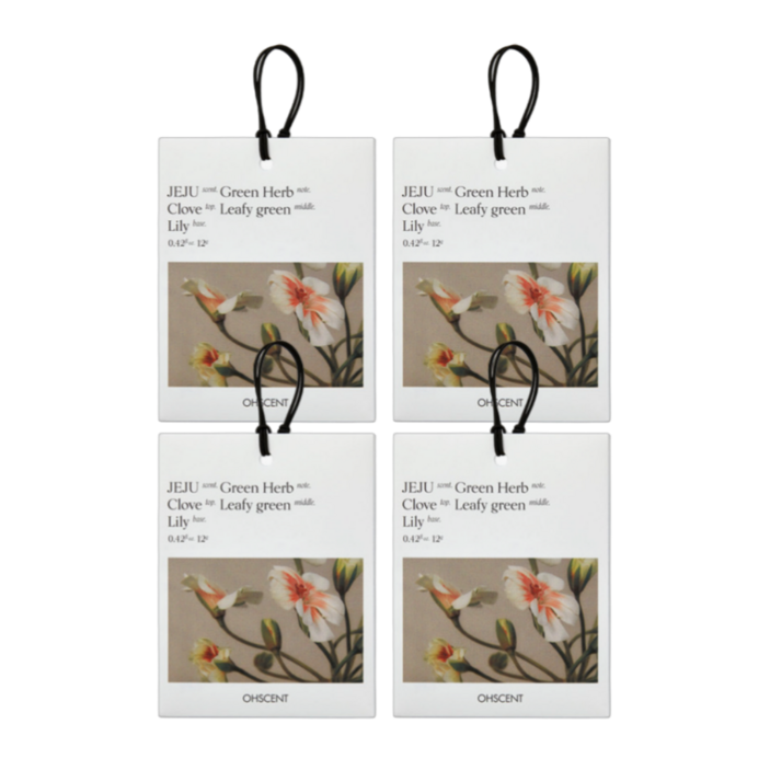 [3+1] 오센트 퍼퓸 샤쉐 6종 4입, 룸 차량 옷장 화장실 방향제! 공간을 담은 향기