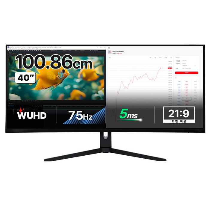 인터픽셀 5K WUHD NANO IPS 75Hz 높이조절 모니터, IPU4010(무결점), 100.859cm