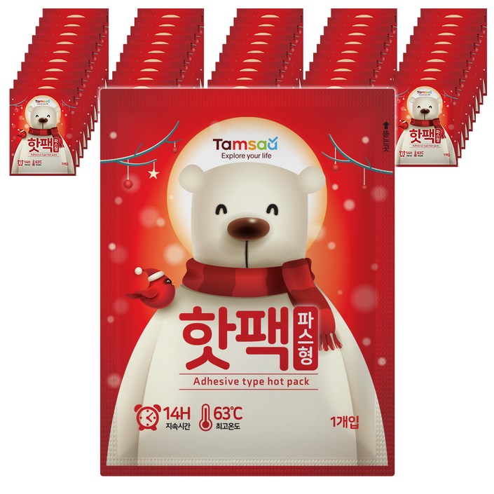 탐사 국내 생산 파스형 붙이는 타입 핫팩 40g, 50개입
