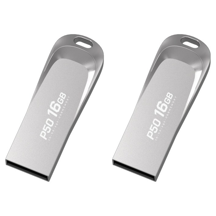 PLEIGO USB 메모리 P50