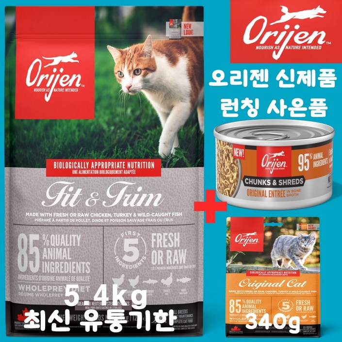 오리젠 피트앤트림 캣 견성상사 단독사은품 증정 판매자 확인필수