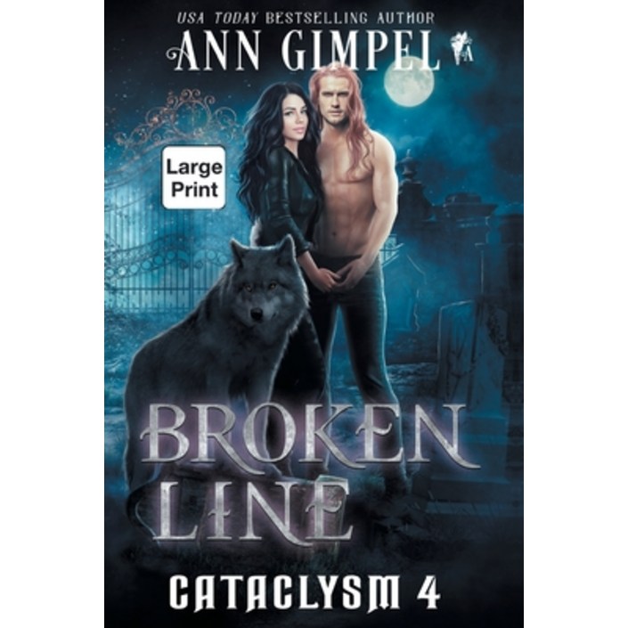 영문도서 Broken Line An Urban Fantasy, Paperback 영문도서 Broken Line An Urban Fantasy, Paperback