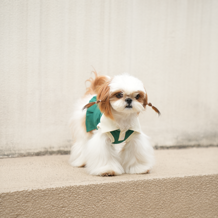 멍냥부띠크 여름용 테니스룩 강아지 원피스, 1개, 그린