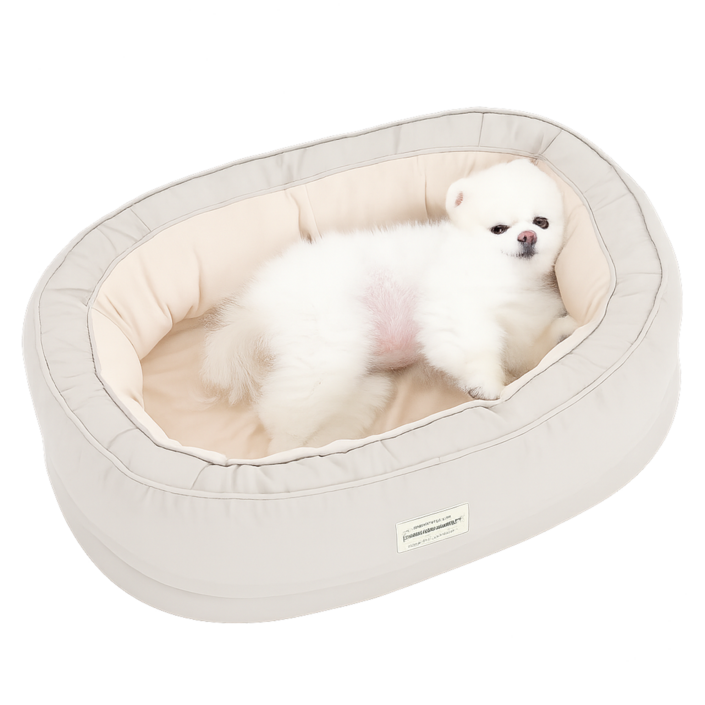 옥희독희 반려동물 꿀몬스 방석, 아이보리, 1개