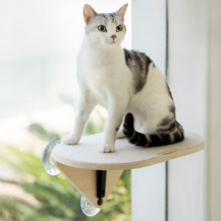 카무라라 창문 캣타워 고양이용품