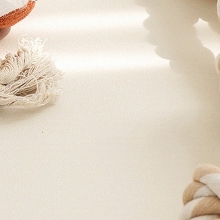 디팡 반려동물 이지 폴딩타입 미끄럼방지 매트, 크림, 1개