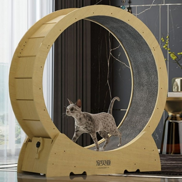고양이캣휠 무소음캣휠 고양이쳇바퀴 - 에잇폼