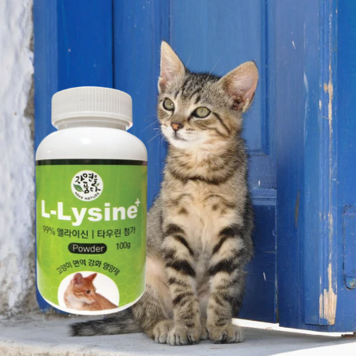 길 고양이 구내염 약 치료 항생제 잇몸 염증 영양제