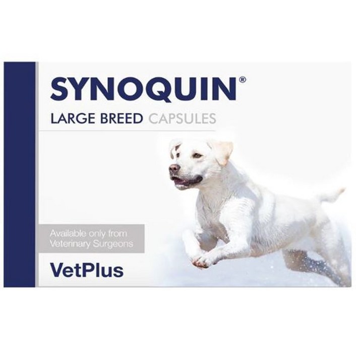 벳플러스 사이노퀸 대형견 강아지 독 라지브리드 30정 관절영양제 타블렛 2개, 30회분, 투약보조(저알러지), 1개