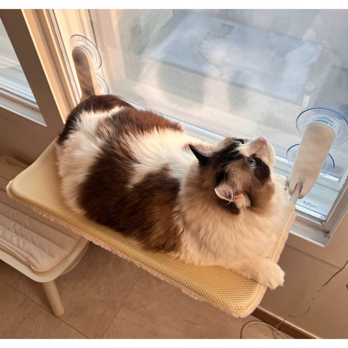 마아 고양이 강력 흡착 폴딩식 창문 해먹, 혼합색상, 1개 마아 고양이 강력 흡착 폴딩식 창문 해먹, 혼합색상, 1개