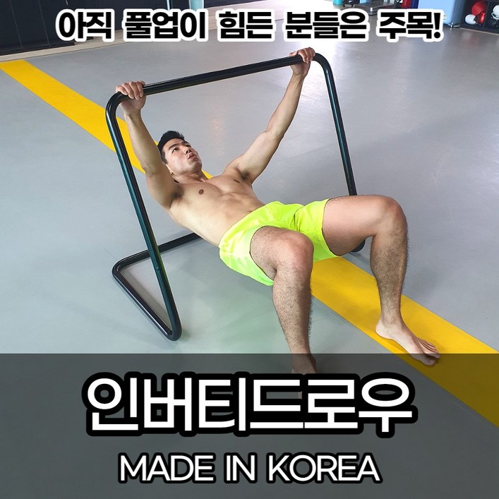 인버티드로우 등운동 기구 프론트레버 풀업 누워서 턱걸이 연습 미니 낮은 가정용 철봉 국내자체제작 인버티드로우 등운동 기구 프론트레버 풀업 누워서 턱걸이 연습 미니 낮은 가정용 철봉 국내자체제작