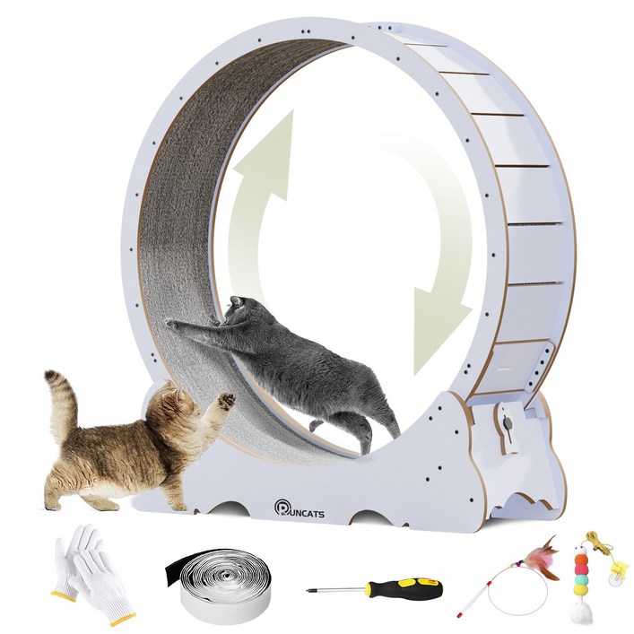 런캣 캣휠 롤러 실내사용 고양이 운동훈련 헬스 캣휠 원목색 다양한