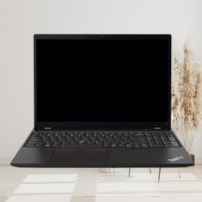 레노버 2024 씽크패드 P16s G2 AMD 라이젠7 Pro 라이젠 7000 시리즈 라데온 780M, vili black, 21K9S04U00, 1TB, 32GB, WIN11 Pro