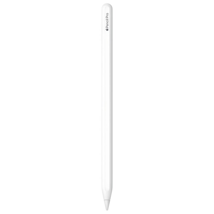 Apple 정품 애플펜슬 프로, 화이트, 1개